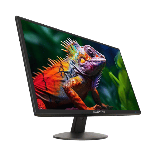 Sceptre E248W-19203R 24" FHD 75Hz Monitor